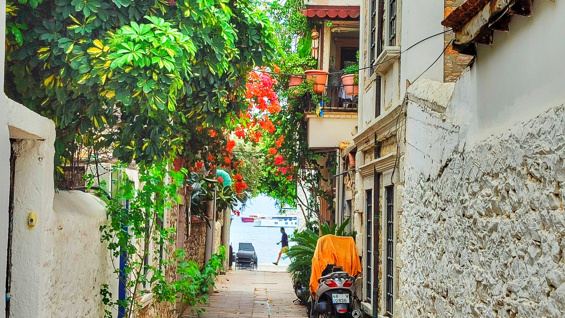 Denize açılan Bodrum sokağı